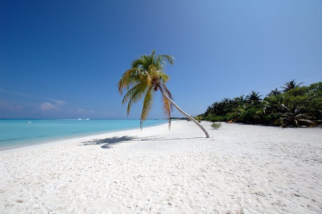 Tripadvisor, Dr. Beach, and NOAA data inform this guide to white sand beaches in the USA — covering Florida, Hawaii, Puerto Rico, and overlooked East Coast gems.
