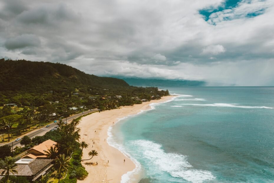 Scenic coastal beach with turquoise ocean water, rocky shoreline, tall palm trees, and people relaxing and swimming on a sunny summer day.